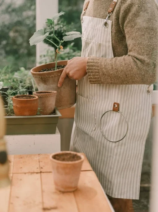 The Apron - Lauren'S Sage Stripe